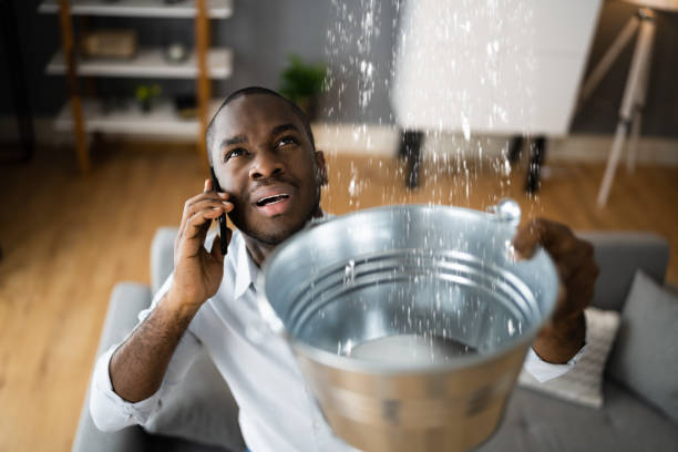 Best Sewage cleanup and water damage restoration  in Morse, LA