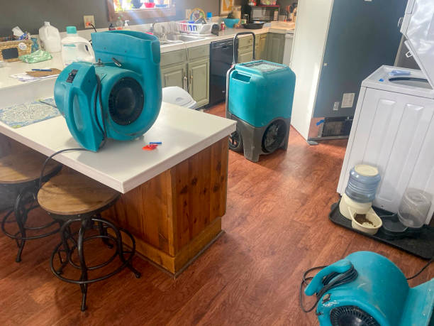 Trusted Morse, LA Water damage restoration Experts