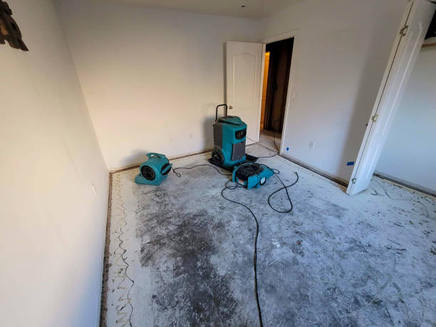  Morse, LA Water damage restoration Pros