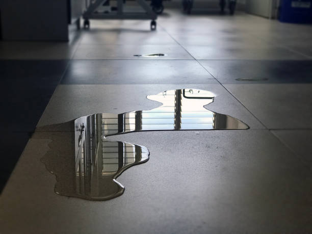 Best Professional water damage repair  in Morse, LA