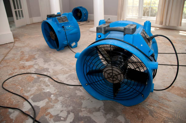 Best Fire Damage Restoration  in Morse, LA