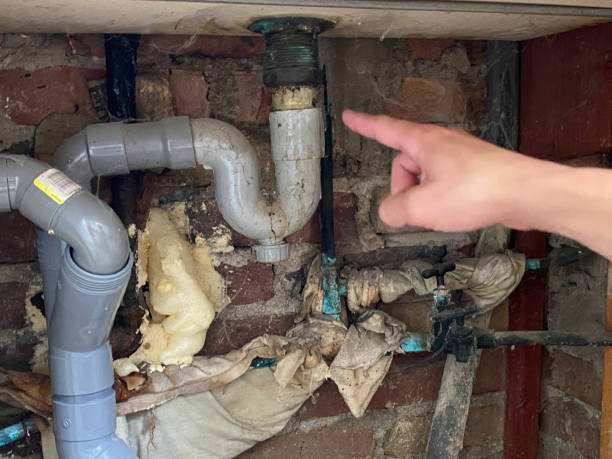 Best Commercial water damage restoration  in Morse, LA