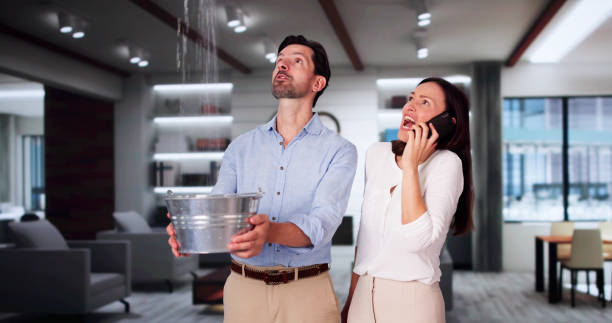 Best Mold removal after water damage  in Morse, LA