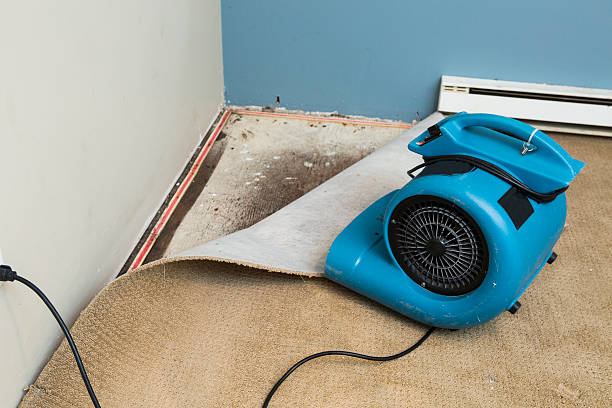 Best Ceiling water damage repair  in Morse, LA